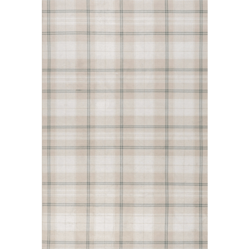 Raye Plaid Spill Proof Washable Rug | Beige 6' x 9'