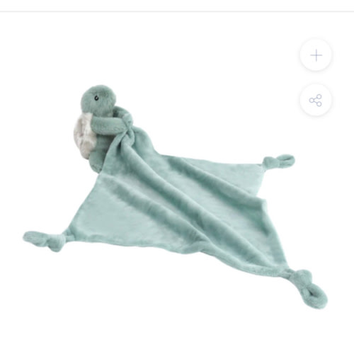 Taylor the Turtle Blankie