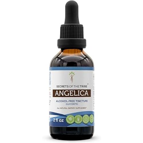 Secrets of the Tribe Angelica Tincture Alcohol-Free Liquid Extract, Angelica (Angelica archangelica) Dried Root (2 FL OZ)