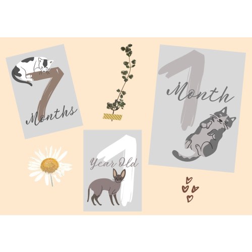 Digital baby month cards - Newborn Cat themed