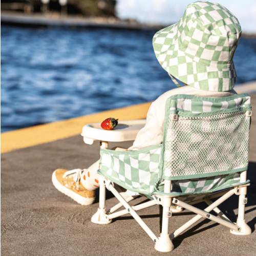 Parker portable booster chair