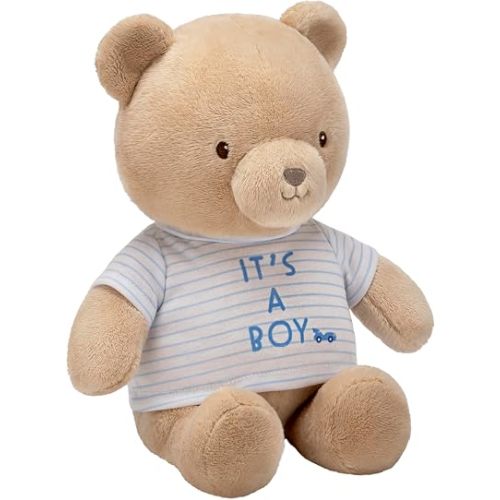 Baby Starters Plush Teddy Bear with It's a Boy Message T-Shirt (Blue Stripe, 9 inch Sitting)