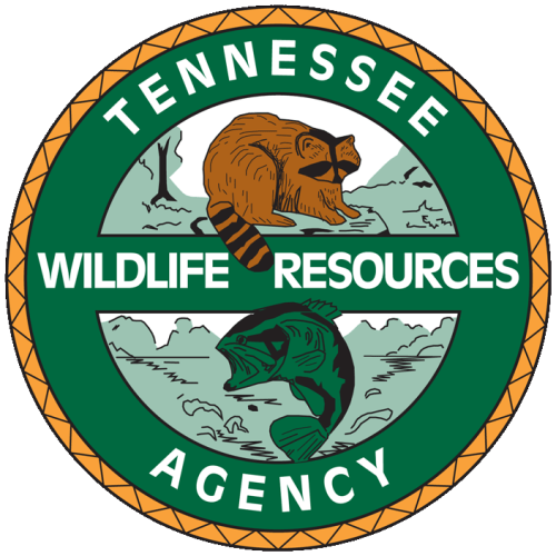 Lifetime hunting and fishing license