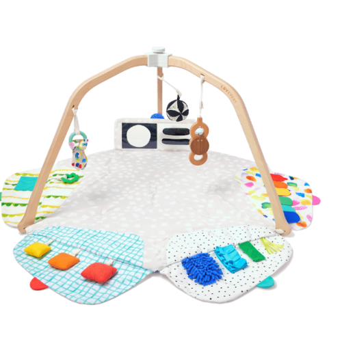 Lovevery -- The Play Gym