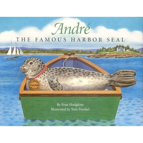 Andre the Famous Harbor Seal