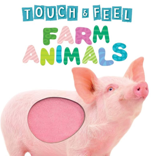 Touch and Feel Farm Animals - Novelty Book - Children's Board Book - Interactive Fun Child's Book
