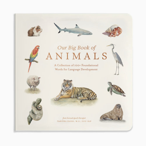 Our Big Book of Animals