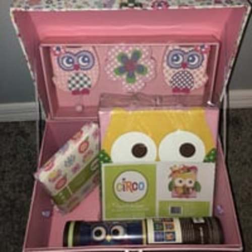 Owl themed baby items lot