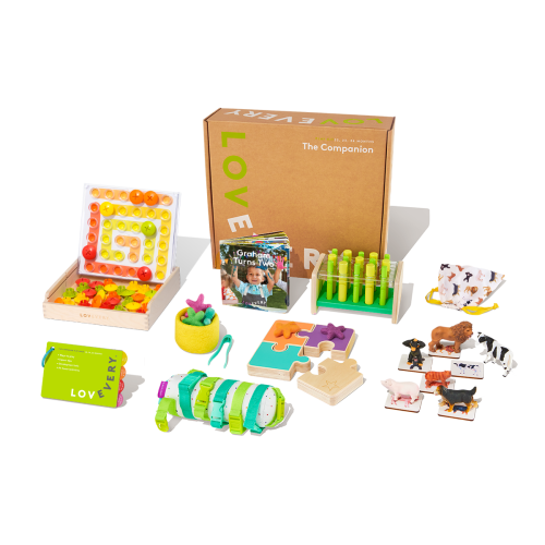 Lovevery "The Companion" Play Kit (22-24mo)