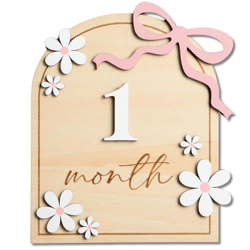 Baby Monthly Milestone Sign,1-12 Monthly Baby Milestone, Month Milestone Baby Girl, Baby Months Milestone, Newborn Photography Props Double-Sided (B14)