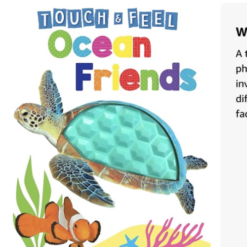 Ocean Friends - Touch and Feel Board Book - Sensory Board Book