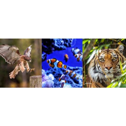 Columbus Zoo or Newport Aquarium Membership pass