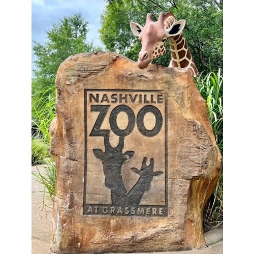 The Adventures of Caze Madison; Memories.