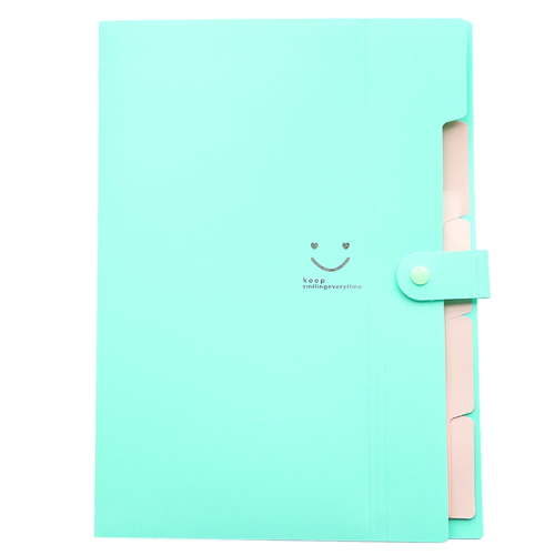 Accordion File Organizer, A4 Letter Size, 5 Pocket Expanding File Folder, Cute File Folder, Portable File Organizer for School Office Supplies, Folders for Documents