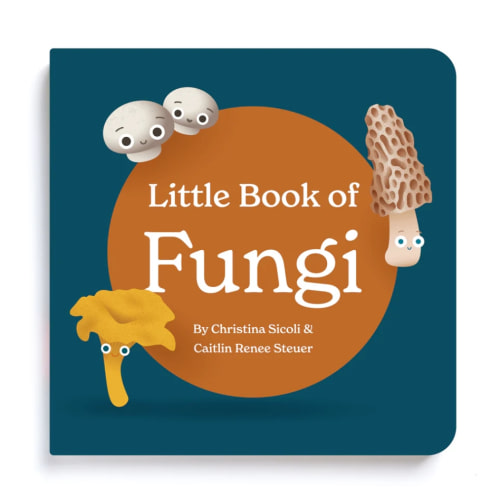 Little Book of Fungi | Classic Board Book About Mushrooms – Chunky Deli