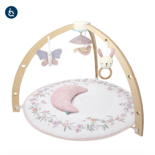 Baby Gym | Premium Baby Activity Gym | aden + anais