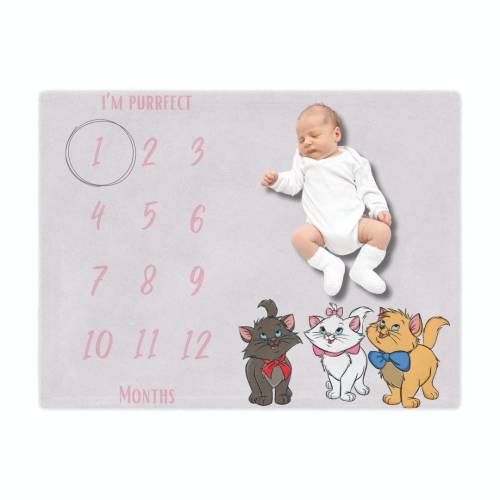Cats Baby Milestone Minky Blanket