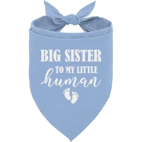 Big Sister Dog Bandana - Baby Blue, Gender Reveal & Announcement - Triangle Scarf for Small to Large Dogs (D6)