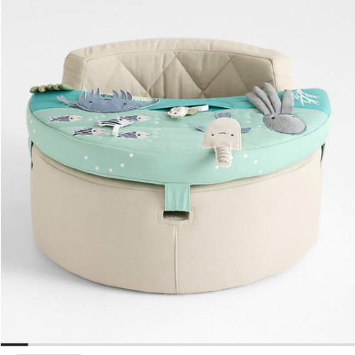 Aquatic Baby Activity Chair