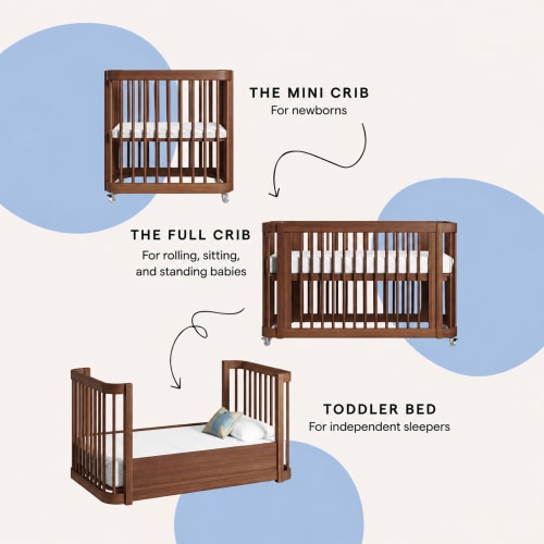 Bassinet Fund