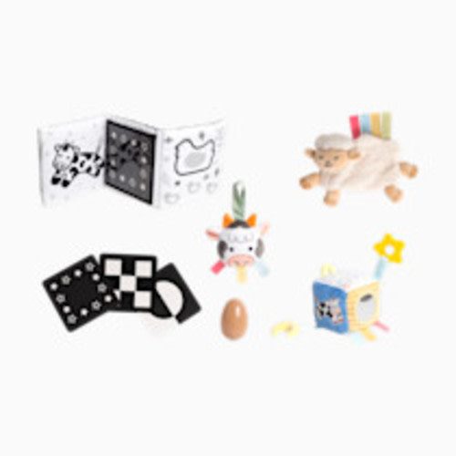 Pearhead 0-6 Months Baby Learning Toys Set