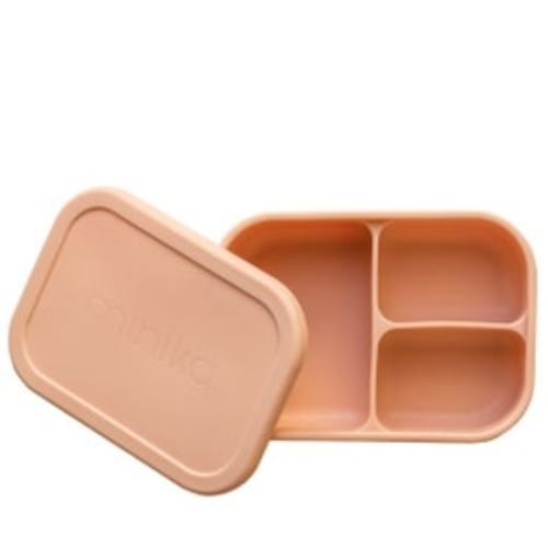 Bento Box