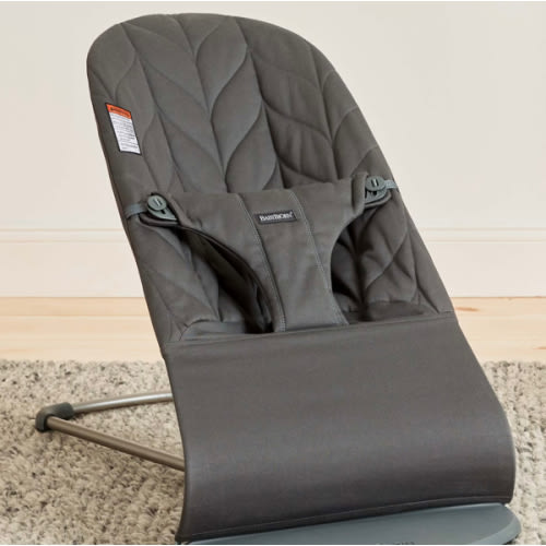 Baby Bjorn Bouncer Bliss
