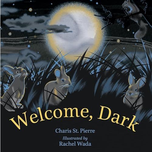 Welcome, Dark Hardcover – Picture Book, September 13, 2022