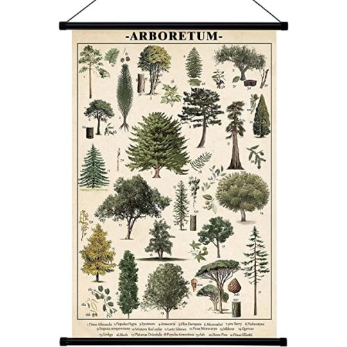 Geyee Tree Vintage Poster Wall decor Mallard Ducks Hunting Art Knowledge Picture Prints Wall Decor for Home Kitchen Office Classroom Living Room Bedroom Frame, 15.8 x 23.6 Inch