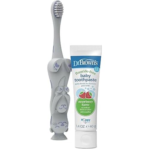 Variety Pack: Dr. Brown's Toddler Toothbrush, Otter, 1-Pack and Baby Toothpaste, Strawberry Flavor, 40g