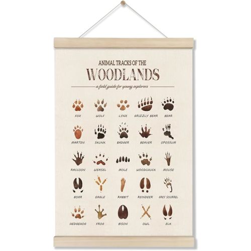 DOI-LANEE Woodland Tracks Poster Hanger Frame, Canvas Artwork Woodland Nursery, Jungle Nursery Decor, Animal Tracks Field Guide Sign, Forest Wall Art, Boy Wall Decor