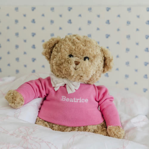 The Big Bear with a Little Sweater