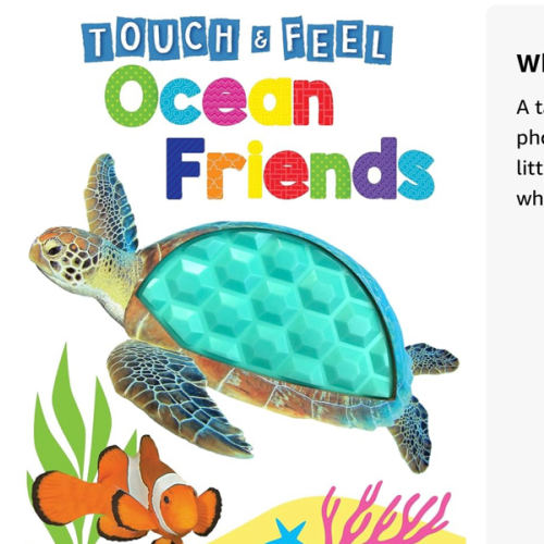 Ocean Friends - Touch and Feel Board Book - Sensory Board Book