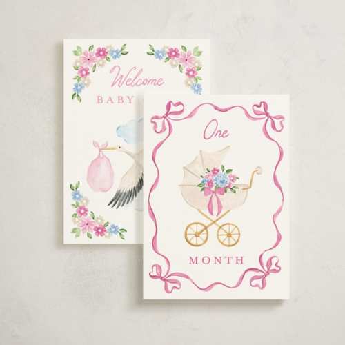 Blossom Baby Milestone Cards by Sarah Knight
