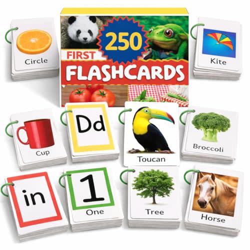 500 Words Thick & Sturdy Learning Flash Cards for Toddlers 1-3 with Rings - 1 Year Old Girl Gifts - Educational & Montessori Toys for 1 Year Old boy - Toddler Flashcards for Preschool & Kindergarten