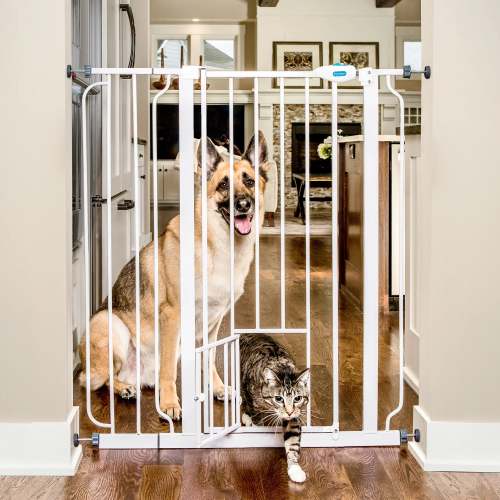 Carlson® 41” Extra Tall Walk-Thru Pet Gate
