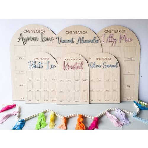One Year of Photo Board, First Year Board, Baby's my first year sign, 12 month frame, Birthday Decor, 1st Birthday Photo Collage,