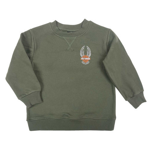 Harley-Davidson® Baby Boys' Winged B&S Fleece Pullover Sweatshirt, Green - Wisconsin Harley-Davidson