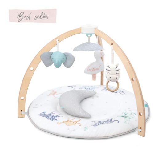 Baby Activity Gym | aden + anais
