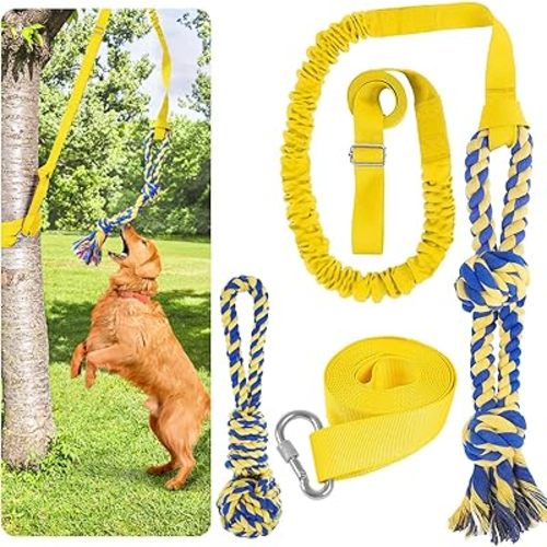 XiaZ Tug of War Dog Toy, Interactive Dogs Toy Bungee Hanging Tether with 2 Chew Rope Toys, Heavy Duty Puppy Outdoor Activity Aggressive Chewers Best Small to Large Boredom Exercise and Play (Green)