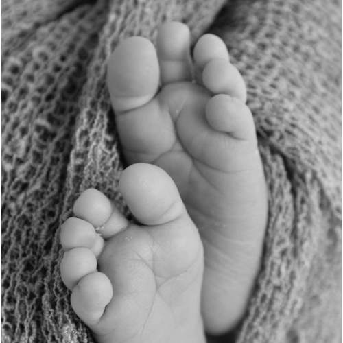 Newborn/Family Photo Session!