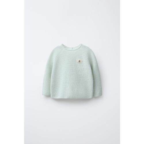 EMBROIDERED DOG PURL KNIT JUMPER - Aquamarine | ZARA United States