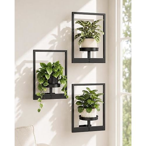 Bamworld Hanging Planters for Indoor Plants Wall Decor Living Room