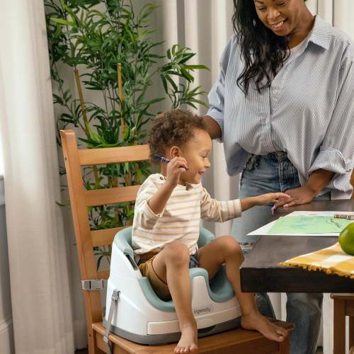 2-in-1 Booster Feeding Baby Base