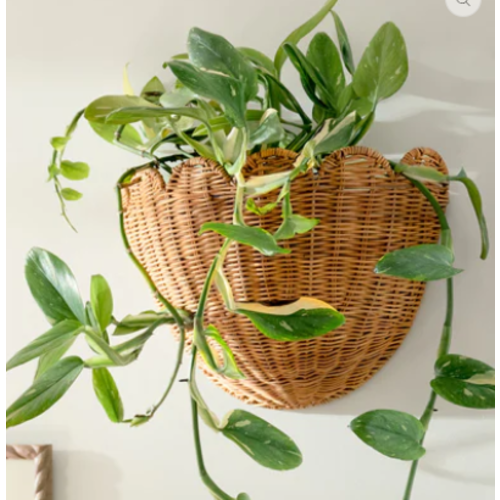 Solene Scalloped Woven Wall Basket