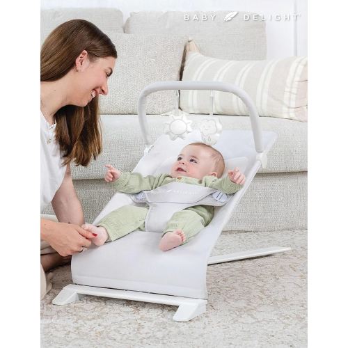 Amazon.com : Baby Delight Alpine Deluxe Portable Bouncer, Infant, 0-6 Months, 100% GOTS Certified Cotton Fabrics, Organic Oat : Baby