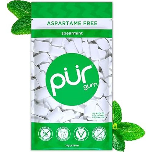 PUR Gum | Aspartame Free Chewing Gum | 100% Xylitol | Natural Spearmint Flavored Gum, 55 Pieces (Pack of 1)