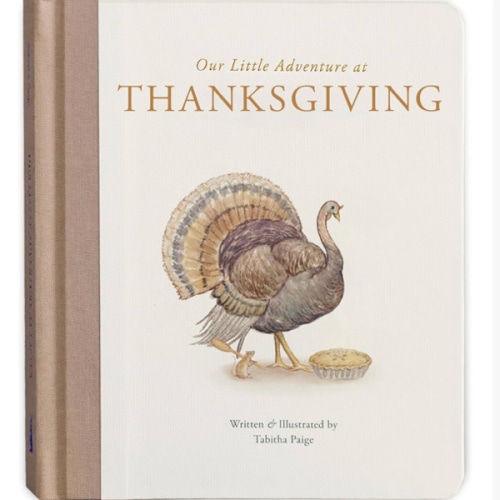 Our Little Adventure at Thanksgiving: Featuring Foundational Language Concepts and Lessons on Gratitude (Tabitha Paige Children's Book Series)