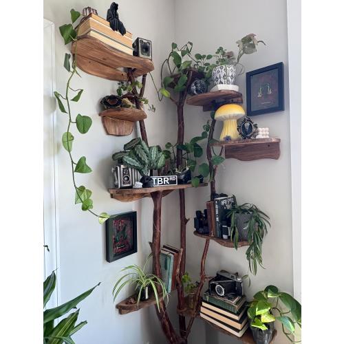 Tree wall shelf Handmade wood branches | Fairy | witchy | Enchanted Forest shelves | floating shelf | real tree branches —Create your space