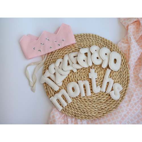 Felt Milestone Numbers, Baby monthly milestone, Countdown Numbers, Baby Month Tracker, personalized pregnancy gift